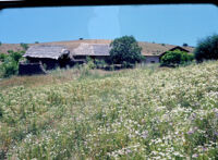 Unknown - Rural scene, 1960-1968