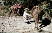 Mexico (Michoacán/Costa) - Man, between 1960-1964