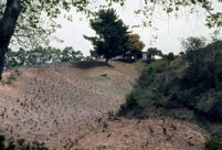 Chile (Tapique) - Outdoors scene, between 1966-1967