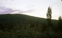 Personal/Misc. - Country scene at dusk, 1960s (?)