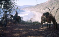 Mexico (Michoacán/Costa) - Sea coast, between 1960-1964