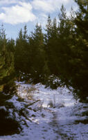 Chile (Cajón del Maipo) - Scene with snow, between 1966-1967