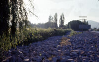 Chile - Roadside scene, between 1966-1967