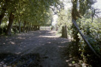 Chile (Curicó) - Fundo Curicó, dirt road, between 1966-1967