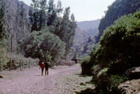 Chile - Mountain road with two men, between 1966-1967