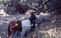 Mexico (Michoacán/Costa) - Two men and horse, between 1960-1964