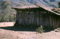 Mexico (Michoacán/Costa) - Shack dwelling, between 1960-1964