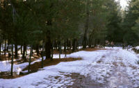 Chile (Cajón del Maipo) - Scene with snow, between 1966-1967