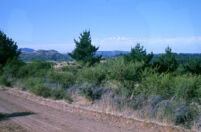 Mexico - River, nearby, between 1960-1964