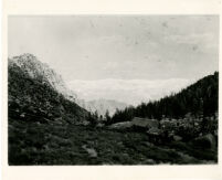 Man and pair of horses or mules pose in front of a work camp in the mountains