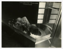 Catalina Island Ticket Office, view of model island through window, 1937