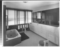 J. N. Brown House, interior master bathroom