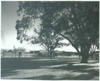 Kester Avenue School, exterior view from Northeast