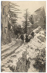 [Cold Brook Camp, mountain trail] (2 views)