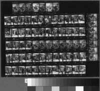 Contact sheets of Cashin's fashion show at Sills and Co. showroom