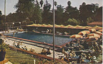 Swimming Pool, Beverly Hills Hotel, Beverly Hills, California