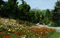 Fern Dell Drive. Entrance to Griffth Park, Los Angeles California