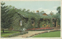 A Rose Embowered Bungalow, California