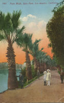 Palm Walk, Echo Park, Los Angeles, California