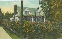 A quaint little Cottage among Roses, California