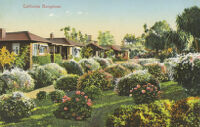 California Bungalows