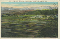 Vegetable Gardens, Elysian Park Drive, Los Angeles, Cal