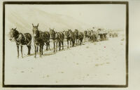 Long line team - L.A. Aqueduct