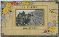 15 Views, Los Angeles. Souvenir Views