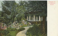 Grounds in a California Home