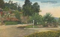 A View on the Winding Drive. Elysian Park, Los Angeles, Cal