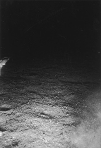 Sea floor, east of Isla Ángel de la Guarda