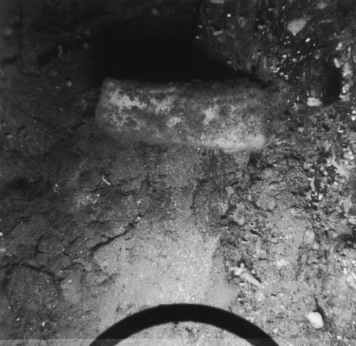 Sea floor, San Lucas Canyon