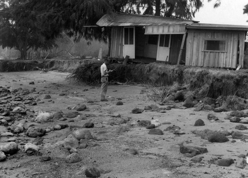 Francis P. Shepard, from Scripps Institution of Oceanography, inspecting tsunami damage to a house and scarp formation, at Kainalu, Molokai