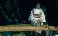 Ensemble koto and performances