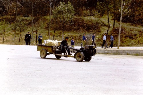 Man driving a tractor