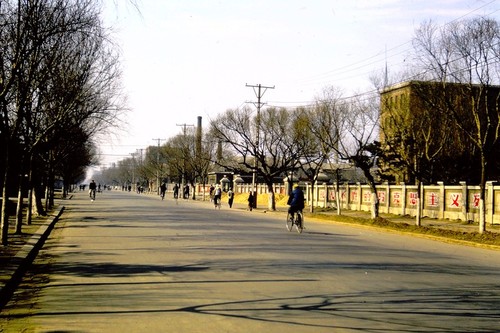 Thoroughfare in Shenyang