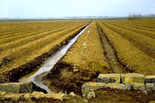 Irrigation canal (1 of 3)