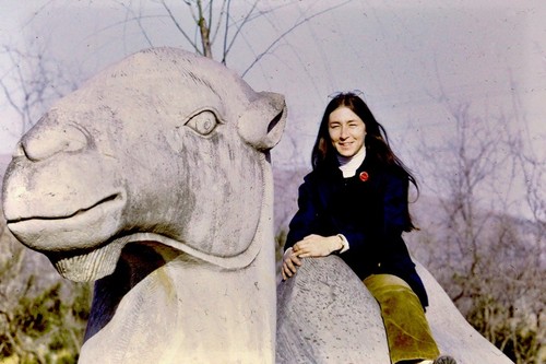 Ming Tombs Sacred Way, stone camel (2 of 3)