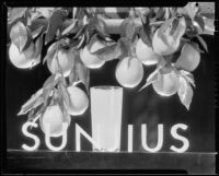 Photograph for "Sunjius" showing a glass of orange juice