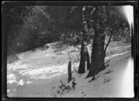 Snow-covered slope, circa 1920
