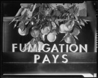 Photograph for "Sunjius" with the message "Fumigation Pays"