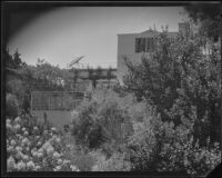 House seen from garden, possibly designed by J. R. Davidson or Jock Peters, Los Angeles County, 1928-1934