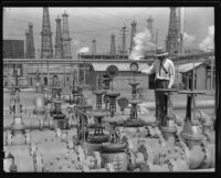 Oil field with gas regulator equipment by the Wilgus Manufacturing Company, California, circa 1931