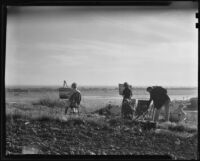 Barse Miller, painter and muralist, painting outdoors with four other artists, 1930-1939