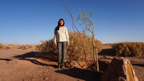 Guía turística de la Aldea de Tulor al lado de un chañar