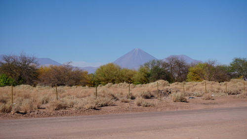 Volcán Licancabur desde Coyo