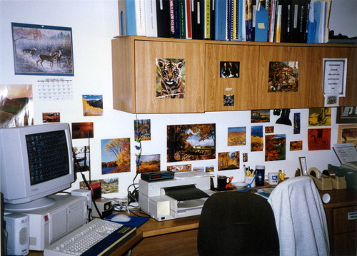 The Brisbane Library Office