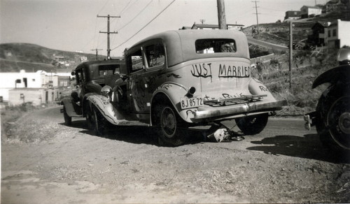 A Brisbane Wedding