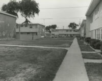 Photograph of Los Angeles neighborhood