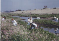 Volunteers at the 15th Annual Los Angeles River Clean Up